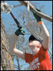 Ole Spring Relief II