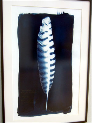 ArtApprenticeFeatherA07