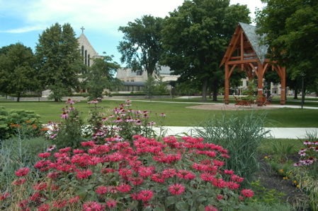 flower garden