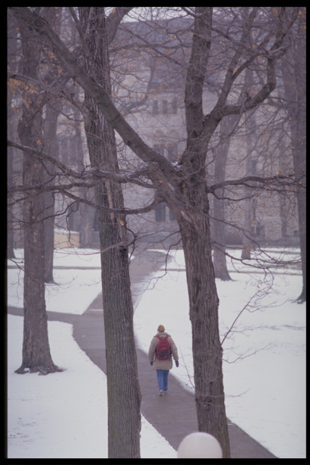 a winter walk