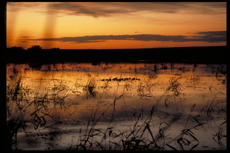 natural lands