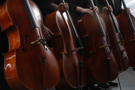 orchestra