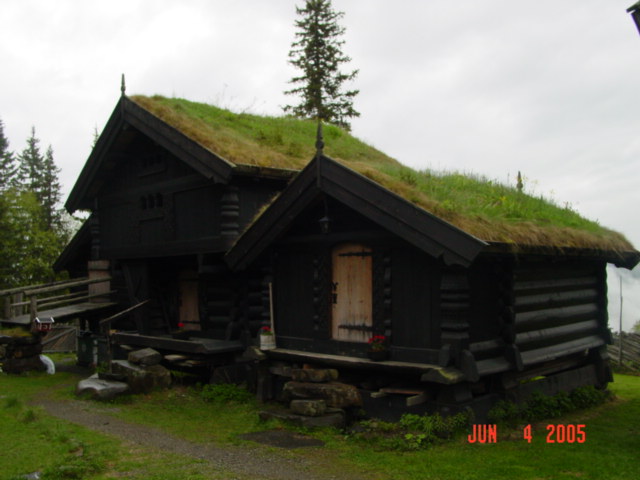 Grass roof