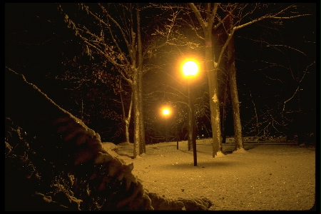 St. Olaf in winter