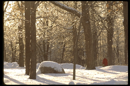 St. Olaf in winter