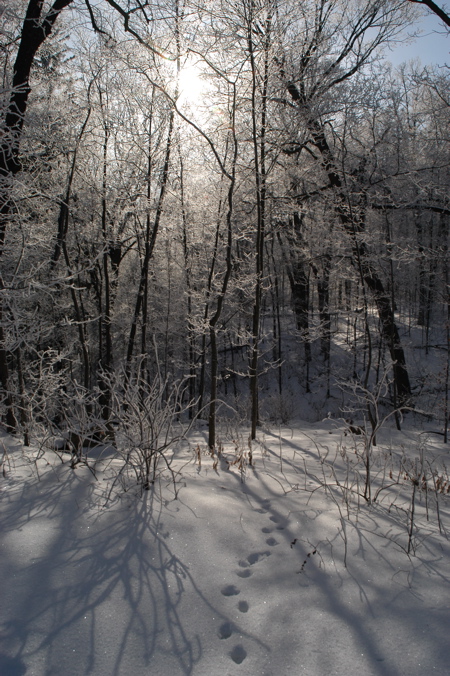 St. Olaf in winter