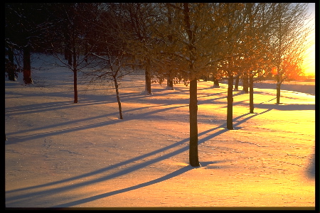 St. Olaf in winter