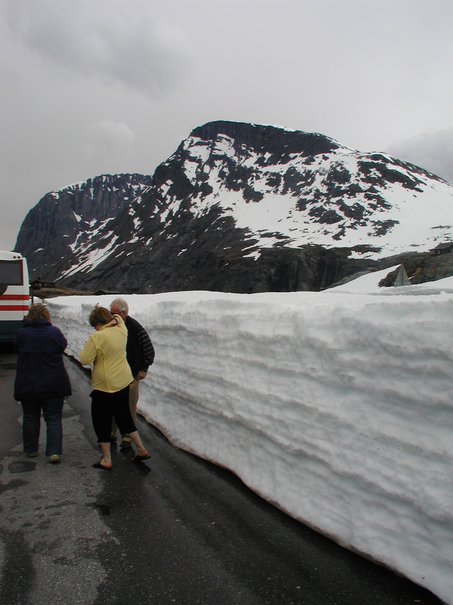 Summer Mountaintop with snow Elworthys Margaret