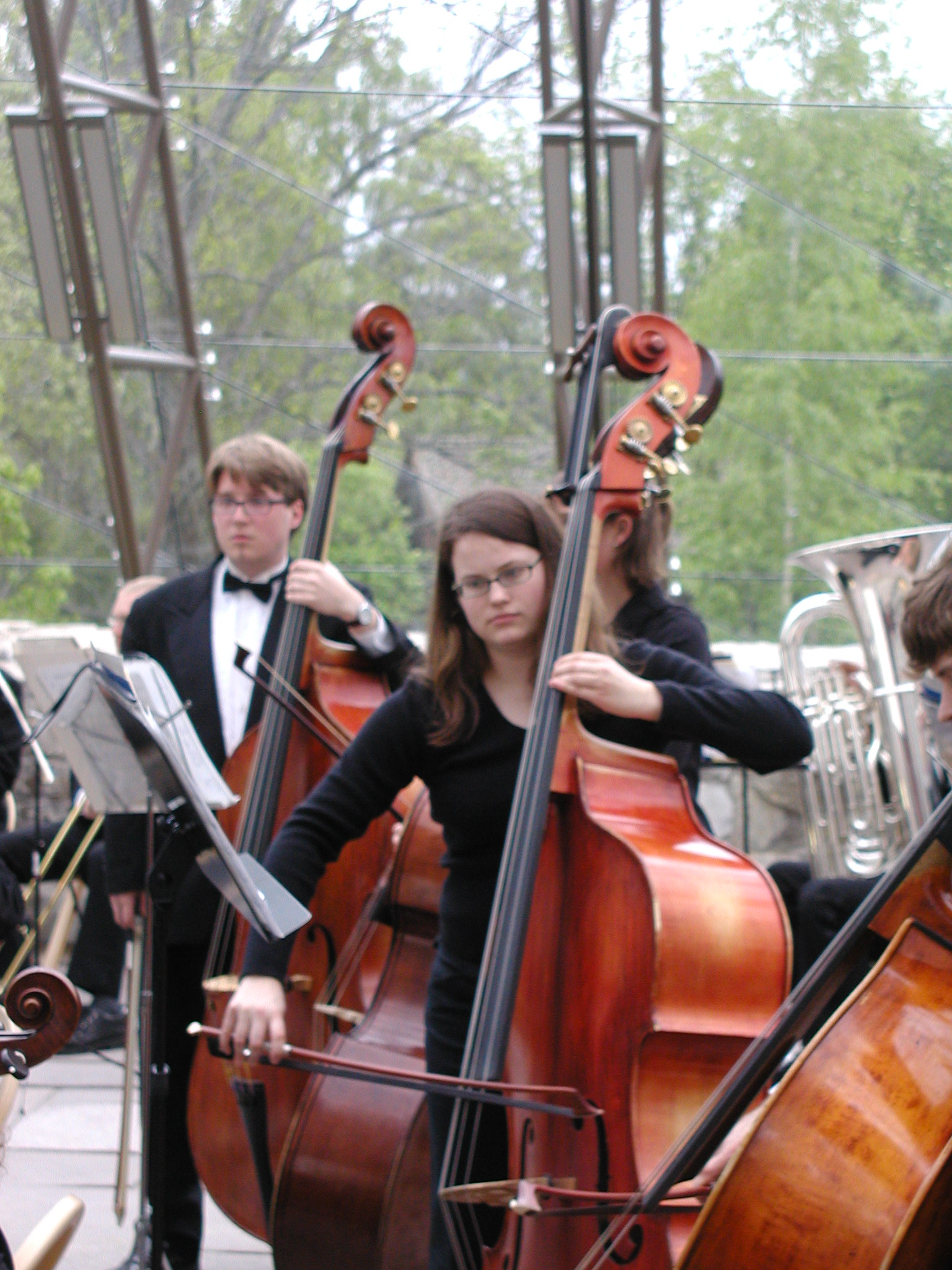 Hamar basses