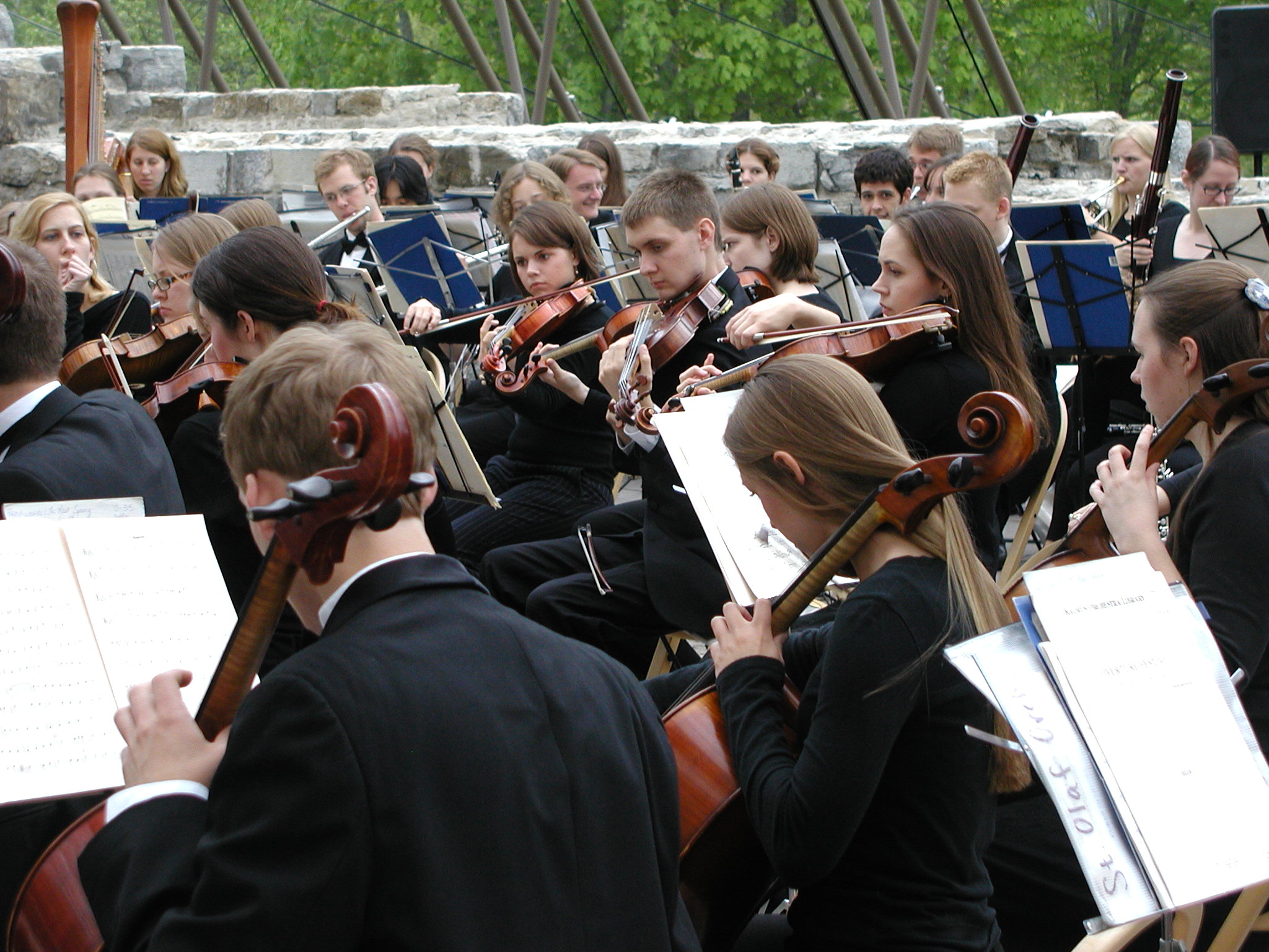 Hamar orchestra strings, winds cross section