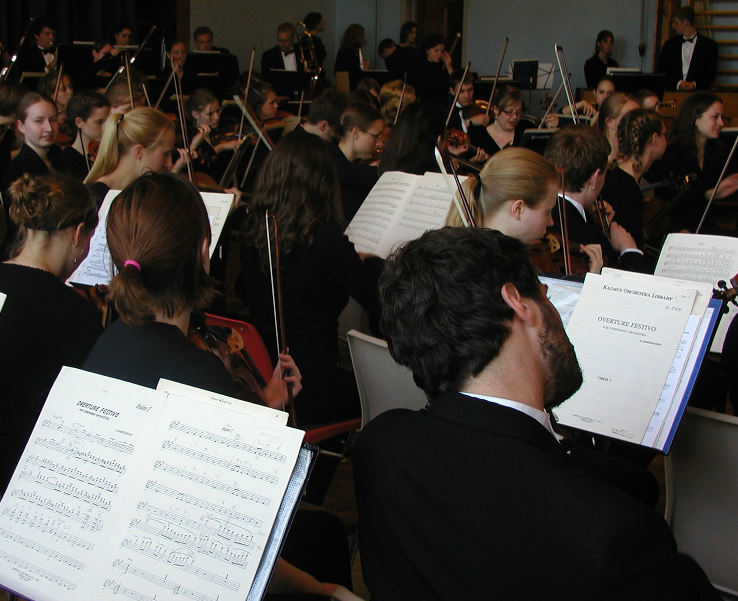 Snåsa orchestra strings