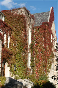 Rolvaag Library with fall foliage
