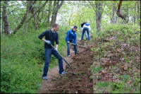 Day of Service Seattle