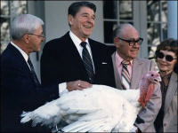 ReaganTurkey