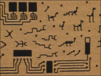 Digital Evolution - detail