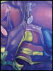 ConleyDetail