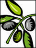 LillyDetail