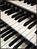 OrganKeys