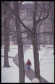 a winter walk