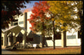 Dittman in fall