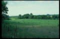 natural lands