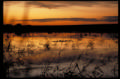 natural lands