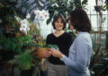 greenhouse