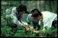 biology class
