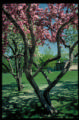 spring tree