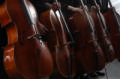 orchestra