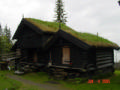 Grass roof