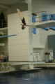 swimming and diving