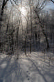 St. Olaf in winter