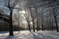 St. Olaf in winter