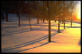 St. Olaf in winter