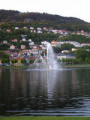 Bergen Fountain Hills