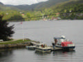 Lysoen Harbor View