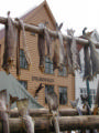 More Drying Fish!