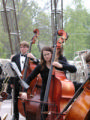 Hamar basses