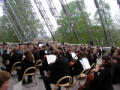 Hamar orchestra cellos structure