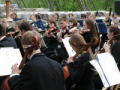 Hamar orchestra strings, winds cross section