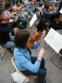 Hamar strings