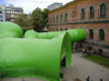 The Frog