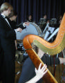 Snåsa orch-Bina