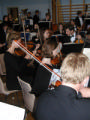 Snåsa orchestra cross section