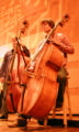 Maihaugen bass notes