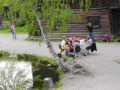 Music on the water