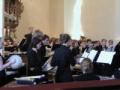 Band Snasa X