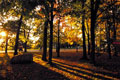 Campus green through sunlight