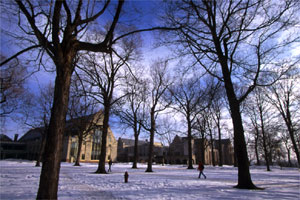 Buntrock Commons in winter
